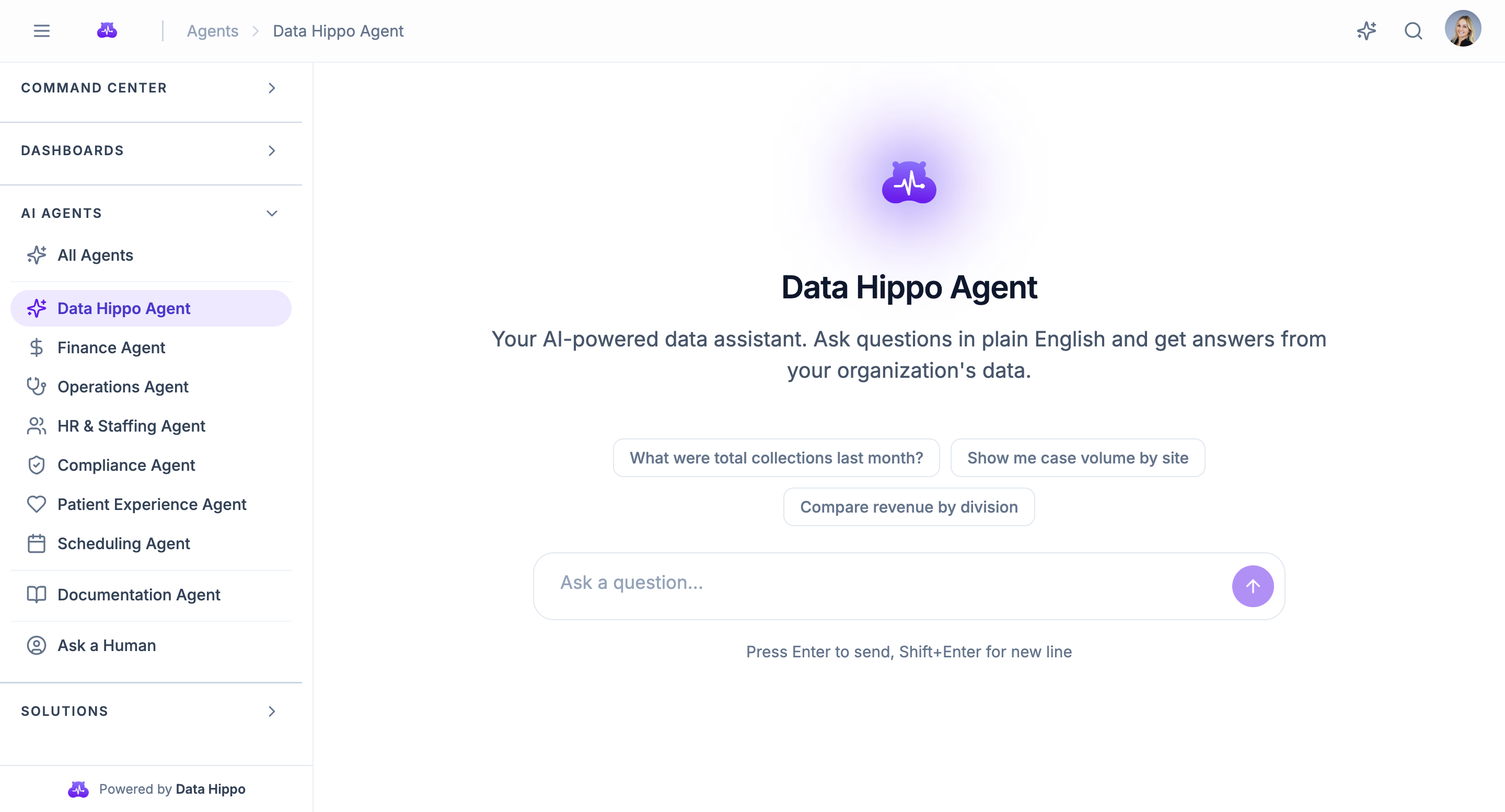 Data Hippo Agent interface: AI-powered data assistant with specialized agents for finance, operations, staffing, compliance, and more